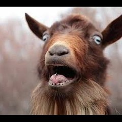 Goat Scream - Joey Riot Vs No Sweat (Preview)