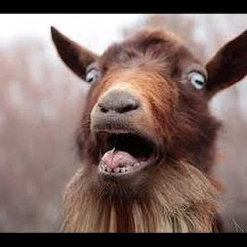 Goat Scream - Joey Riot Vs No Sweat (Preview)