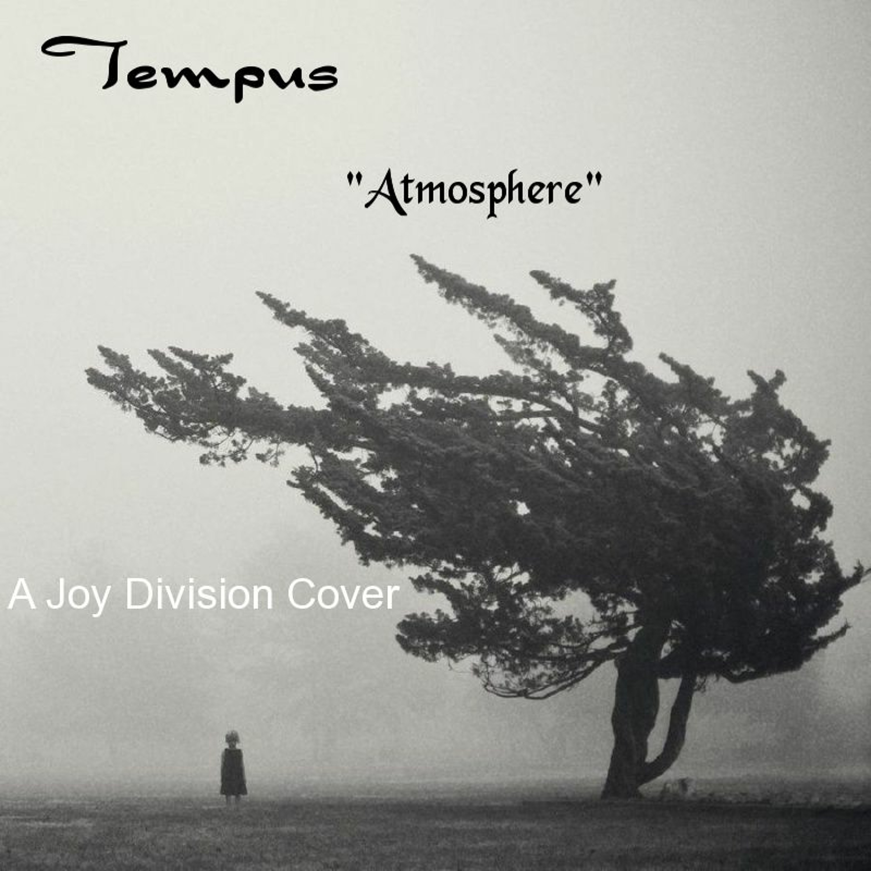 The Tempus Collective - "Atmosphere" - Joy Division Tribute episode artwork