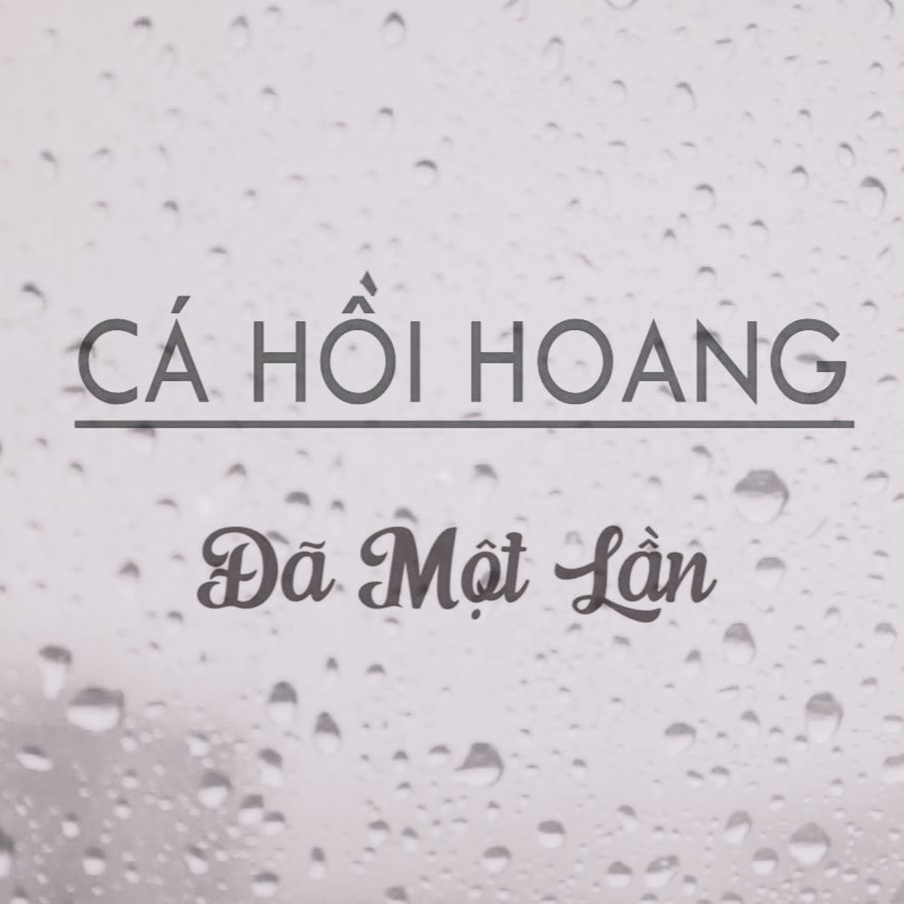 Cá Hồi Hoang