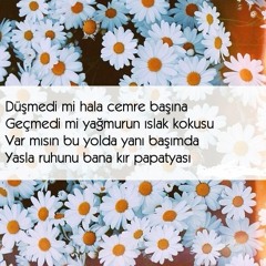 Bahadır Sağlam - Kır Papatyası