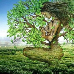 Psy - Trance- Om Namah Shiva