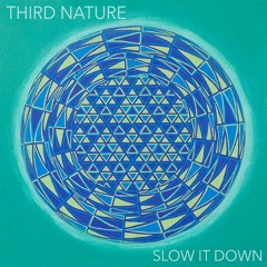 Slow It Down