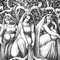 Norns