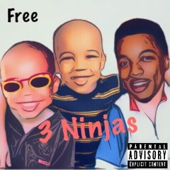 3 Ninjas