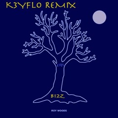 Drama(K3YFLO Remix)