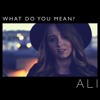 What Do You Mean - Justin Bieber - Cover by Ali Brustofski