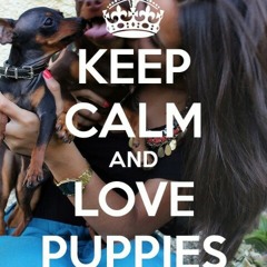 Nico and Vince am I wrong no music just voice