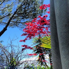 Lonely Won't Leave Me Alone (Snippit)Kevin Gerzevitz Piano Michael Manring bass