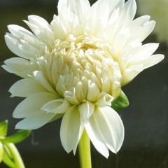 موزیک من I Music