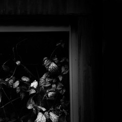 monday suicide - черно-белые сны (black-and-white dreams)