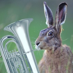 Symphonie Lagomorphe n°1 : Tuba