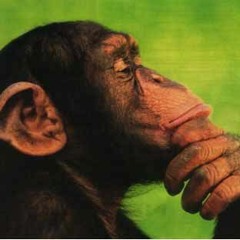 Diez_COMMENT POURRAIS JE TE DIRE feat. Afflixion (Phoenix Prod)