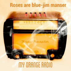 My Orange Radio [roses are blue..and jim manser on guitar and vocal]