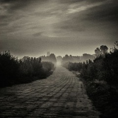LAUFI - OMNISCI - DIFFERENT PATH