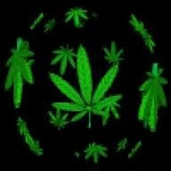 Blow It