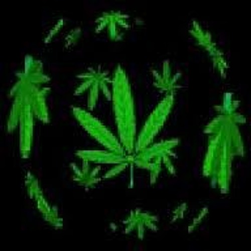 Blow It