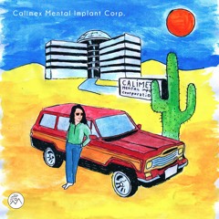 Calimex Mental Implant Corp - El Heladero del Espacio