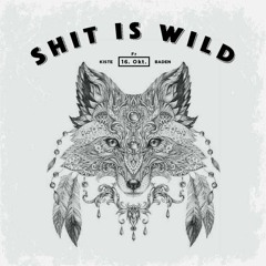 Nu Disco & House - Shit Is Wild