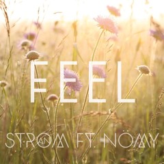 Strom AN Ft. Nömy - Feel