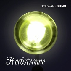 Herbstsonne (Single Version)