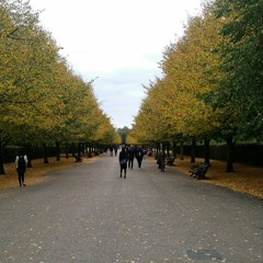 كيف يهون عندك خصامي، عبد الكريم الكابلي