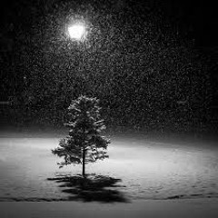 Snow in the Moonlight