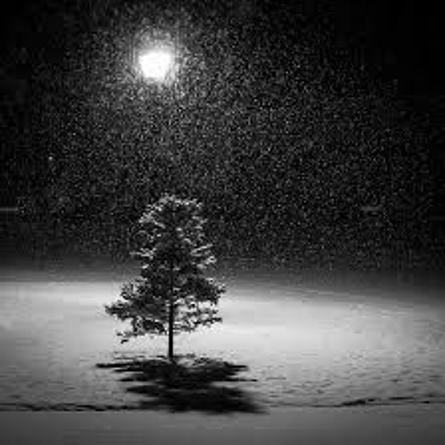 Snow in the Moonlight