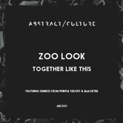 Zoo Look - The Duchess (Blacktee Remix Snippet)