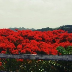 Feridun Düzağaç - Yüzün Cover