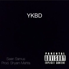 The Blank Canvas Remix - Sean Samus (ft. K.A.A.N)