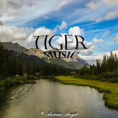 Spin Around by Tiger (Prod by NewDerseyBeats)