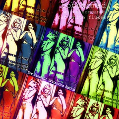 Bo Bo Nomad - White Sherman(ft The Fat White Flukes)ft NDE-Ratios