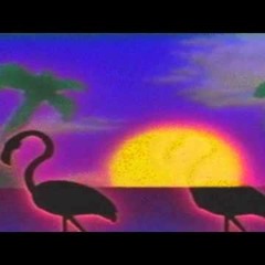 r a i n f o r e s t r a i n