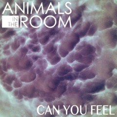 Can You Feel