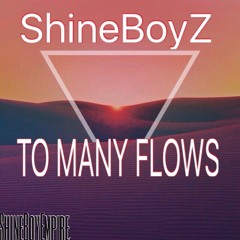 Shineboyz - To many flows