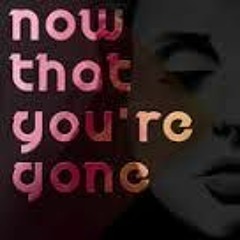 Now That You're Gone -  C.S.R