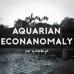 Aquarian Econanomaly