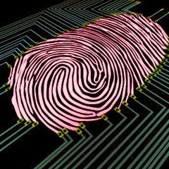 K̪͈̙̥o͓̬̫͓͍̘͈̺̰̮̞͖̲͉̰̯͖͎d̲̪̣̥͕͓̥̝͓̼̯̜̬̭ͅa̫͍̳̣̫͈̳̖̜͙̙͈̩̻̼̮̙̖ͅm̘͓͍̥̠̩̩̬̪̺͍̦̥̫͓a̗̩̠̟͈͔̹