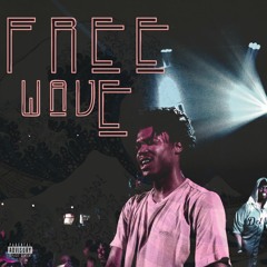 "backhome" freewave