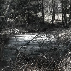 Trollsang Om Vinteren