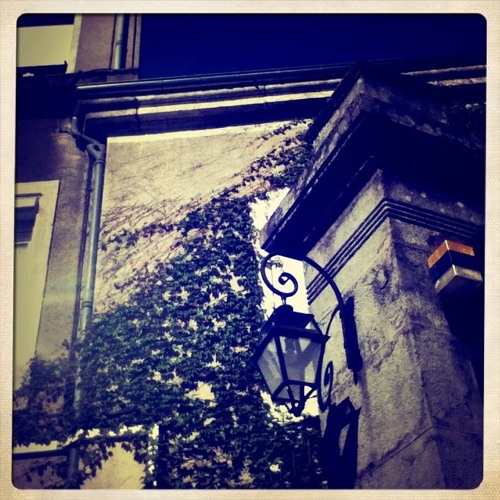 Urban Jungle (Music by Clelia FELIX)