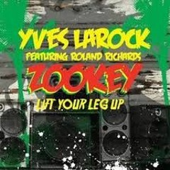 Yves Larock - Zookey (Jorginhu Bootleg)