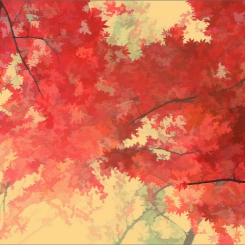 Autumn Dusk