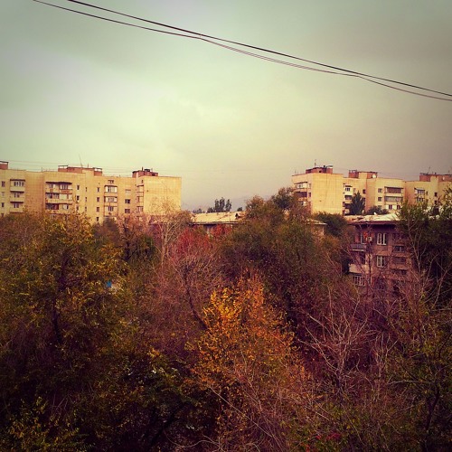 Cj RcM - Autumn