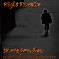 Night Traveler - SOLD OUT -