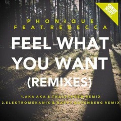 Phonique - Feel what you want (Elektromekanik & Happy Gutenberg Remix)