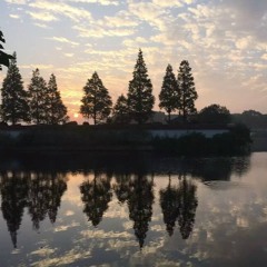 Nomi @ Shalanaya Festival 2015 Zhujiajiao, Shanghai, China