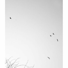 Serkan Alkan - Yekpare feat. Burak Malçok & Gülşah Erol