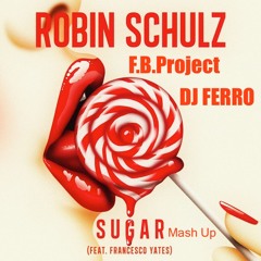 Luca Cassani vs Robin-Schulz - Stylu Sugar (Dj Ferro & f.b.p. Mashup)